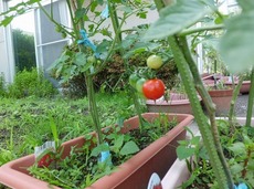 t2014.7.4 1.jpg